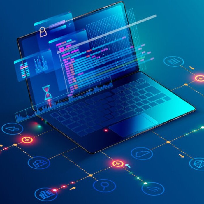 Software Company Development11
