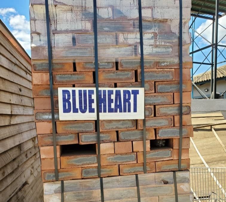Face Bricks vs Common Bricks in Zimbabwe: Botswana, Blue Heart, Smooth & Rustic Finishes Compared