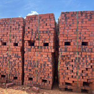 Common Bricks